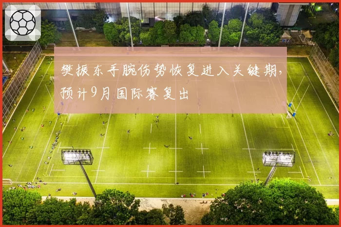 樊振东手腕伤势恢复进入关键期,预计9月国际赛复出