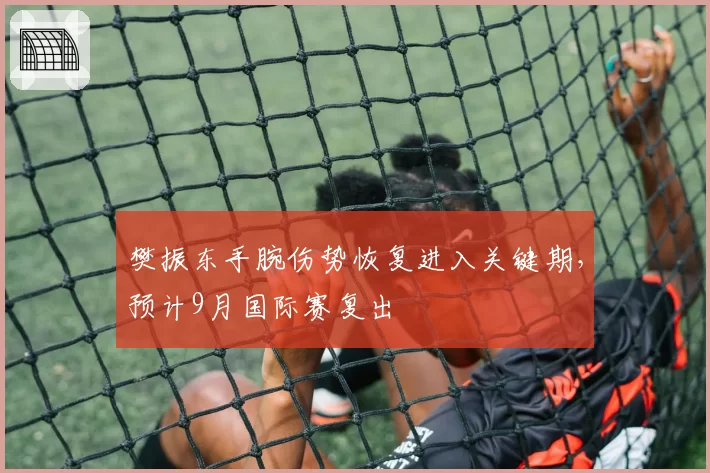 樊振东手腕伤势恢复进入关键期,预计9月国际赛复出